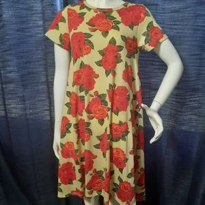 LuLaRoe Dress